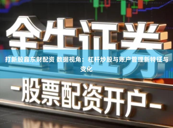 打新股鑫东财配资 数据视角：杠杆炒股与账户管理新特征与变化
