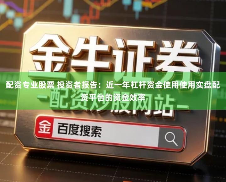 配资专业股票 投资者报告:近一年杠杆资金使用使用实盘配资平台的资金效率