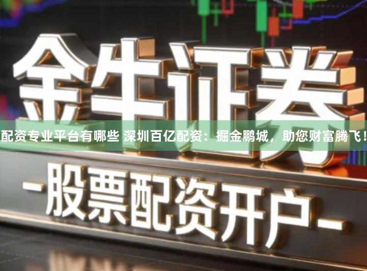 配资专业平台有哪些 深圳百亿配资：掘金鹏城，助您财富腾飞！