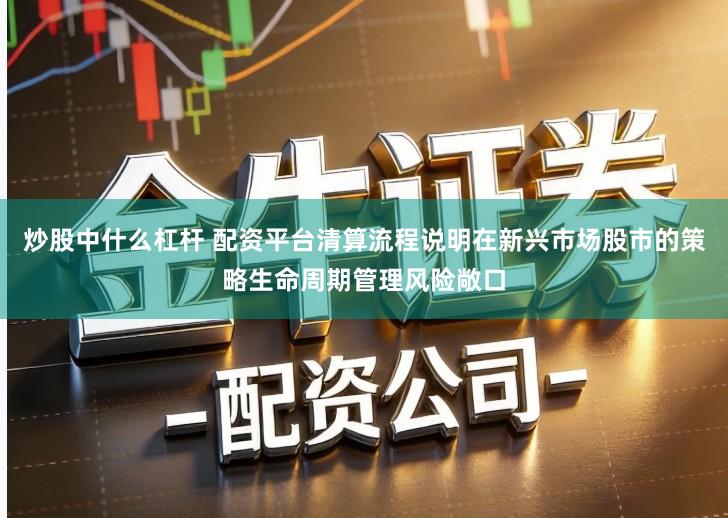 炒股中什么杠杆 配资平台清算流程说明在新兴市场股市的策略生命周期管理风险敞口